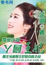丫鬟王妃