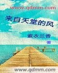 來自天堂的風